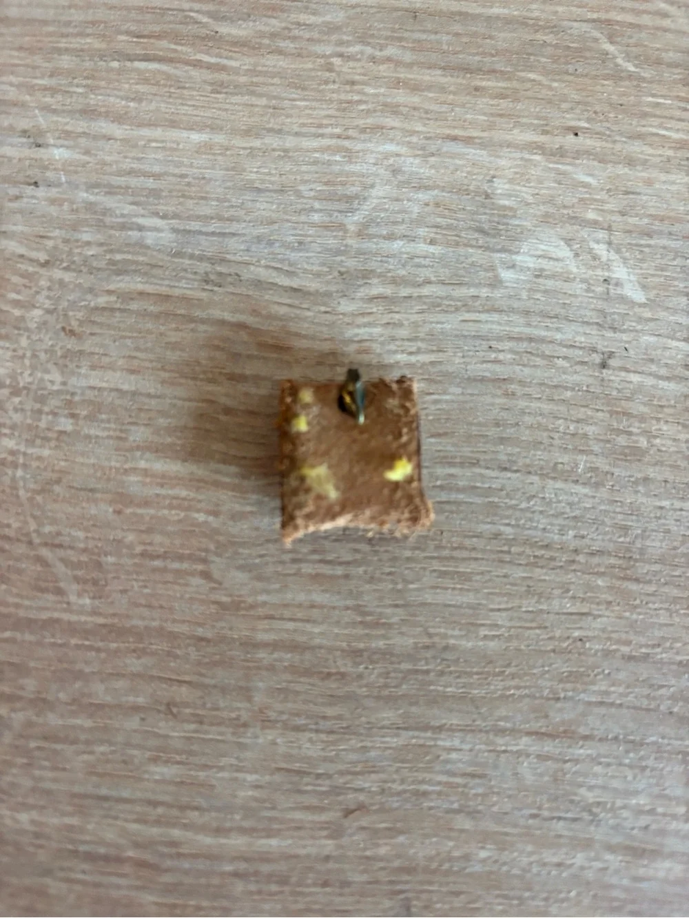Authentic Louis Vuitton rivet